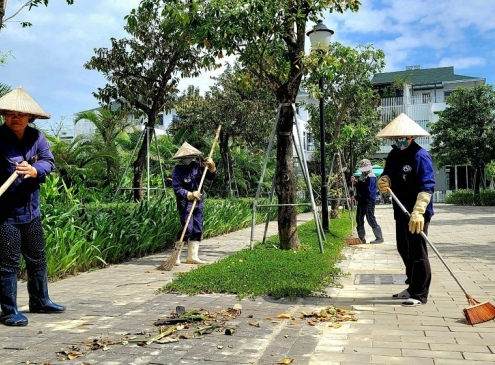 Ecogarden sạch – xanh tươi sau ngày mưa lũ.